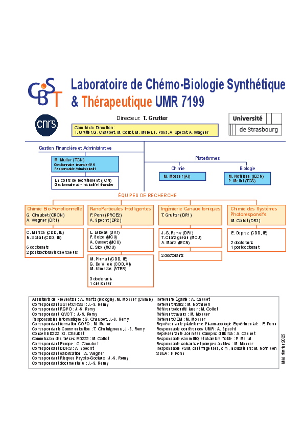 Organizational chart