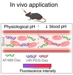 Publication image