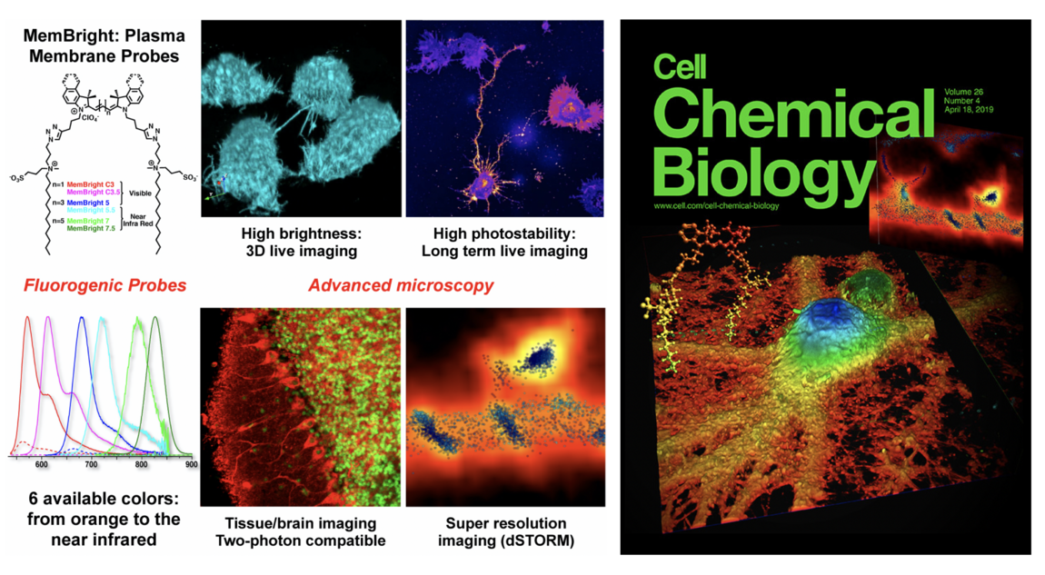 [Translate to English:] sonde fluorescente