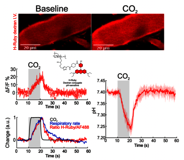 [Translate to English:] Nature Communications
