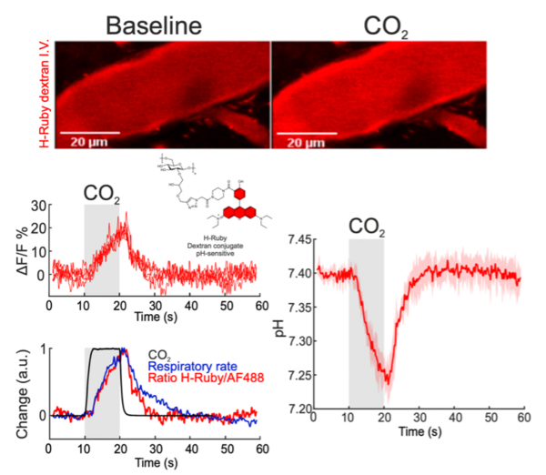 [Translate to English:] Nature Communications