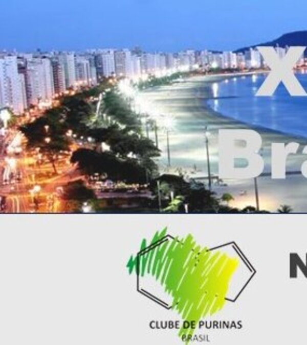 Brazil congress