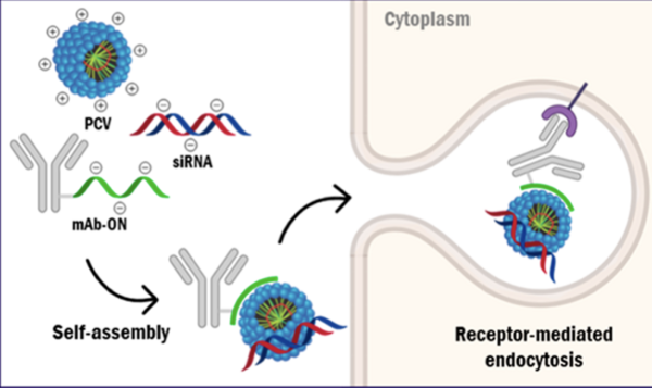 Bioconjugate Chemistry