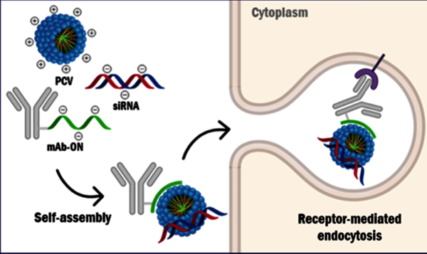 Bioconjugate Chemistry