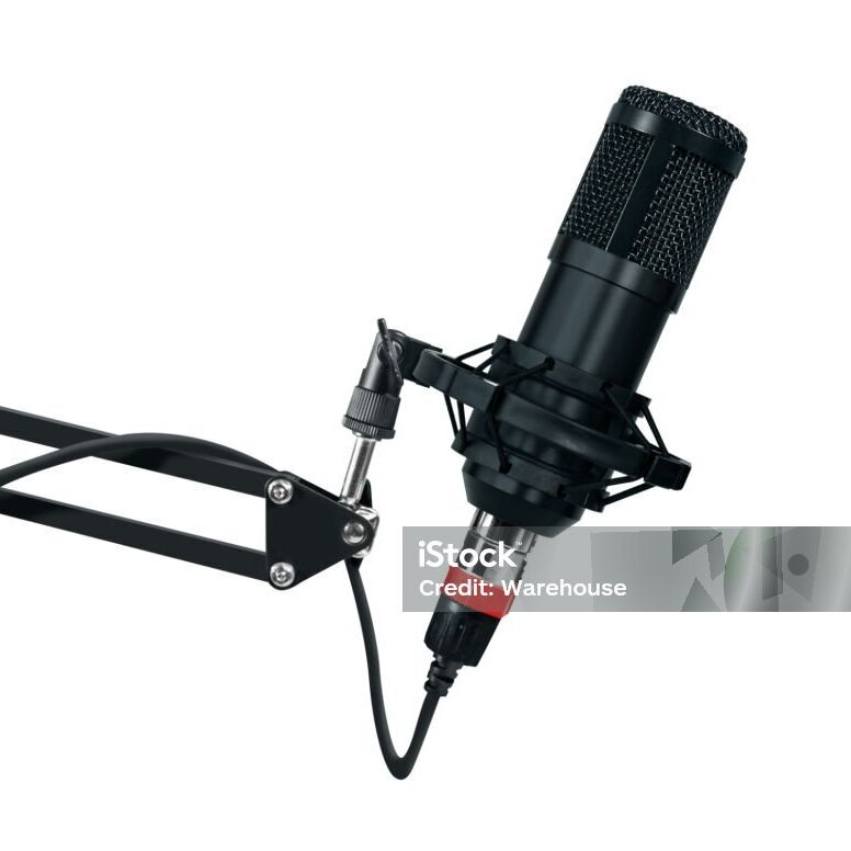 microphone