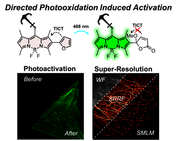 [Translate to English:] Photooxidation