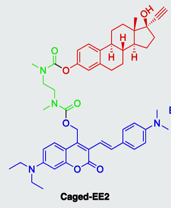 [Translate to English:] molécule sensible à la lumière