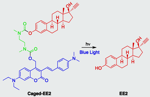 développement d’une thérapie génique ciblée médiée par la lumière dans l’œil