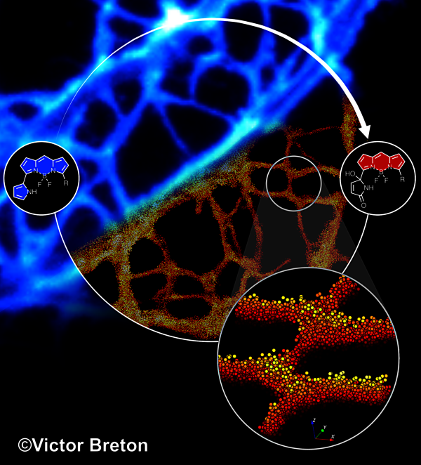 Image illustrating the publication