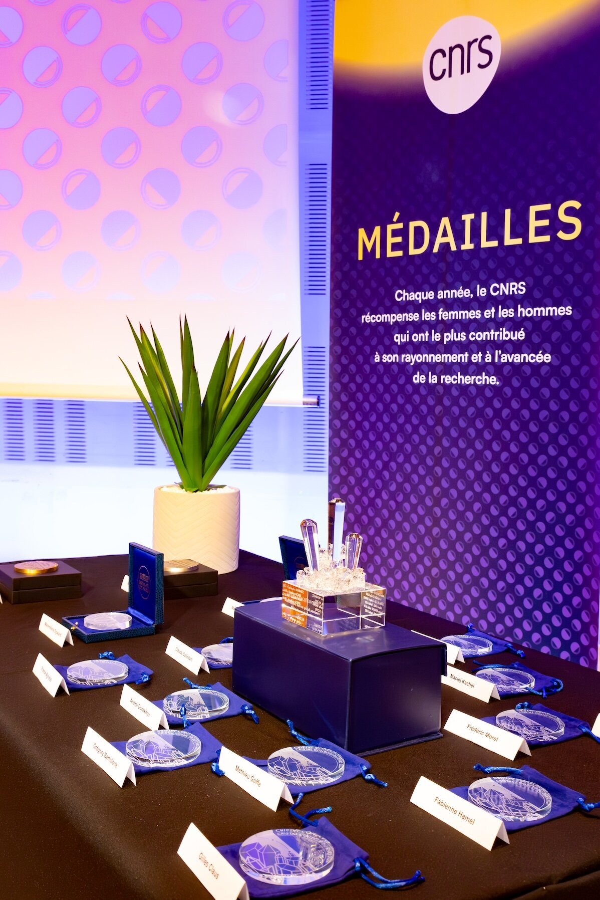 ©Nicolas Busser médailles talents du CNRS