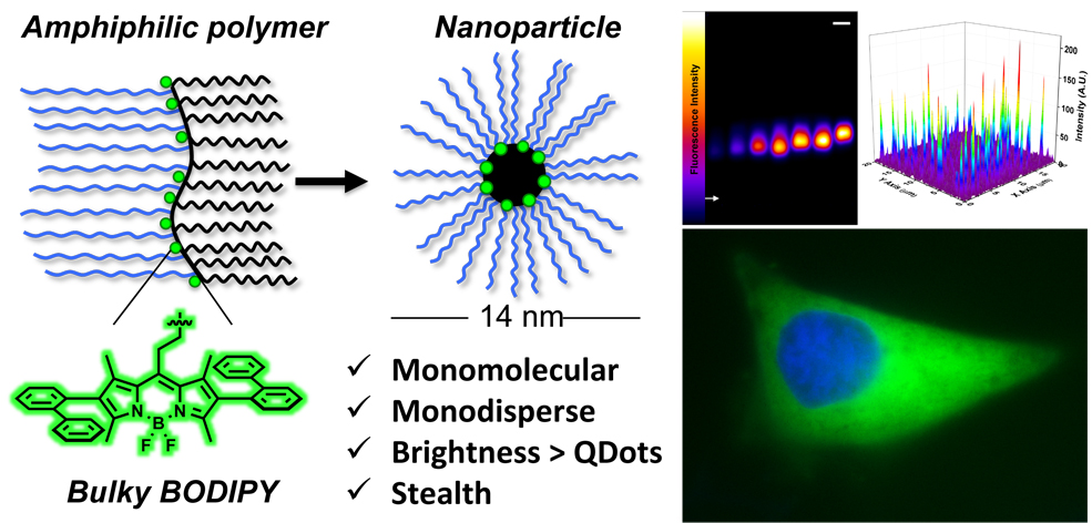 [Translate to English:] Nanoparticule structurée