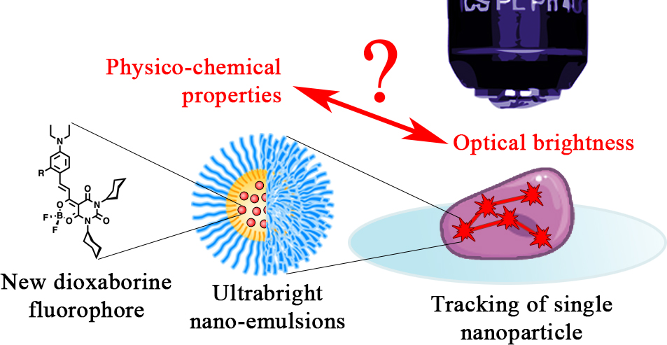 [Translate to English:] Nanoparticules fluorescentes