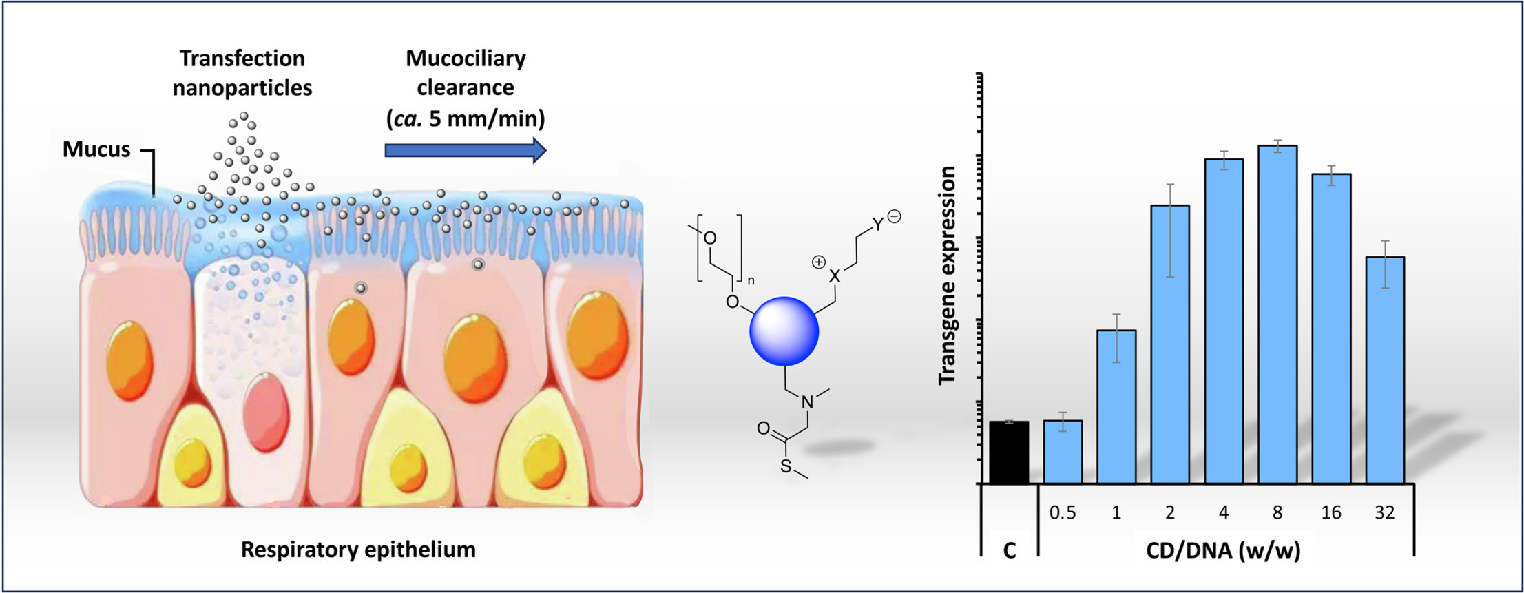 graphical abstract