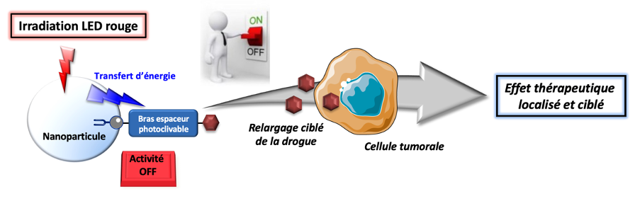 image de Libération à la demande d’une molécule anticancéreuse à l’aide d ‘une excitation lumineuse rouge à la surface de nanoparticules lipidiques